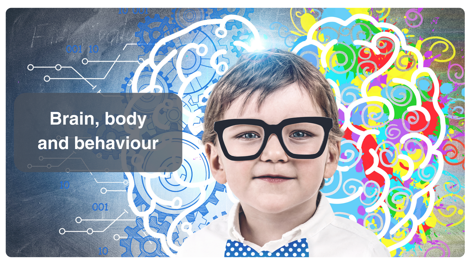 Course: Brain, Body and Behaviour | YourWay | KiaRoha